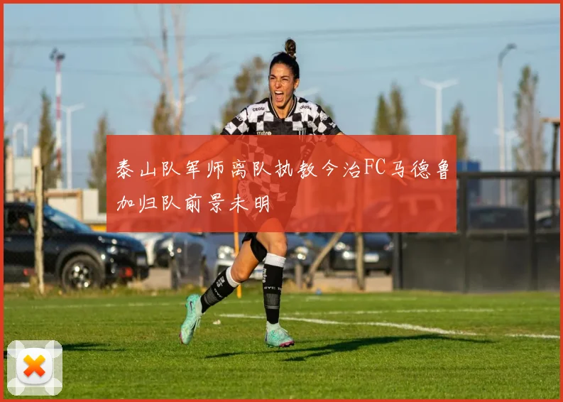 泰山队军师离队执教今治FC马德鲁加归队前景未明