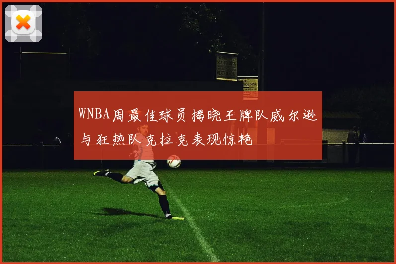 WNBA周最佳球员揭晓王牌队威尔逊与狂热队克拉克表现惊艳