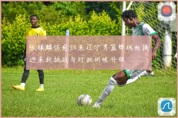 张镇麟伤愈归来辽宁男篮锋线轮换迎来新挑战与对抗训练升级