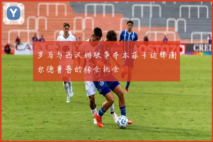罗马与西汉姆联争夺本菲卡边锋谢尔德鲁普的转会机会
