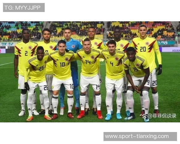 阿里萨拉将在哥伦比亚杯决赛后加盟米兰开启新篇章 阿里萨拉将在哥伦比亚杯决赛后加盟米兰开启新篇章